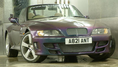 Colour change paint suits Z3 Animal