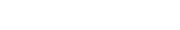 Why Turbo the MINI?