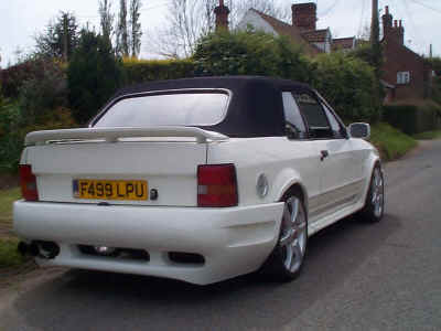 Animal rear bumper looking good